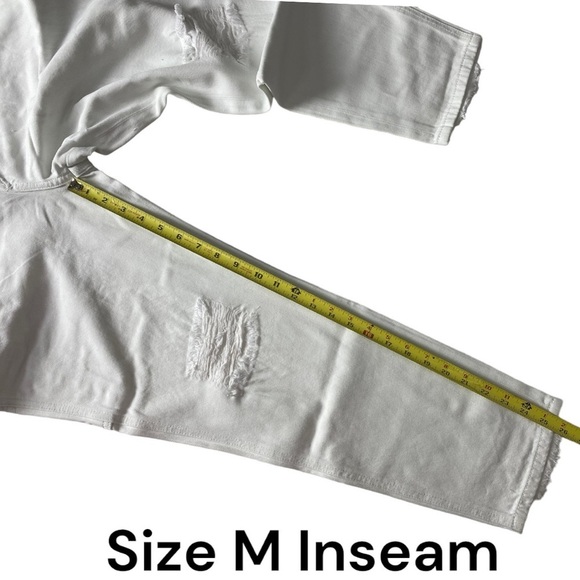 Sandrine Rose x Free People Distressed Overalls in Dust - Picture 13 of 14